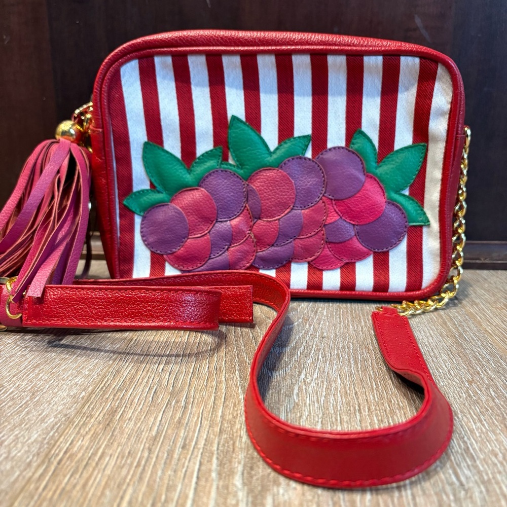 Divina Castidad whimsical appliquéd grape eclectic tassel purse EUC Columbia